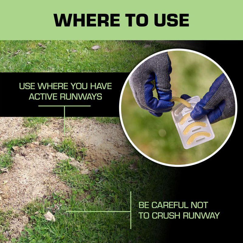Tomcat® Mole Killer Grubs image number null