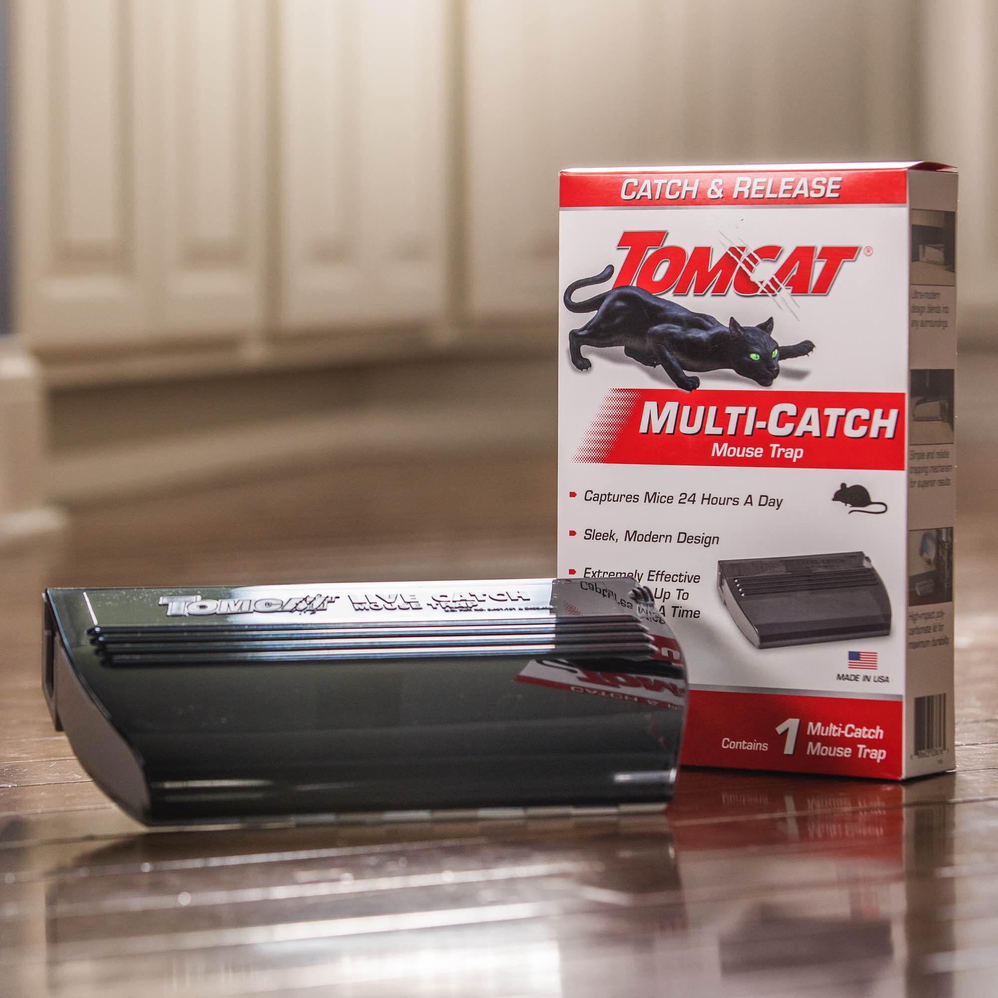 Multiple mice hotsell trap