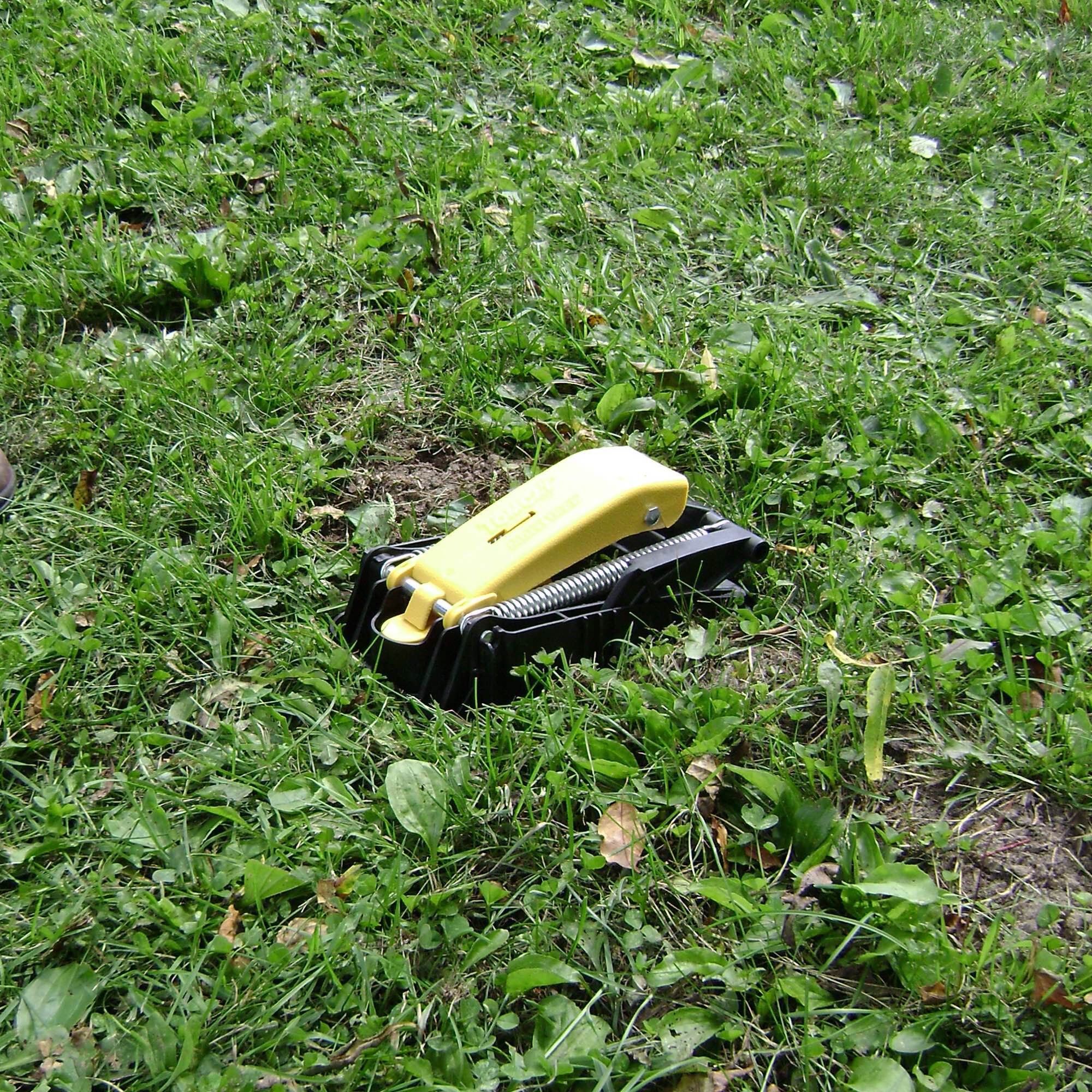 Tomcat Mole Trap