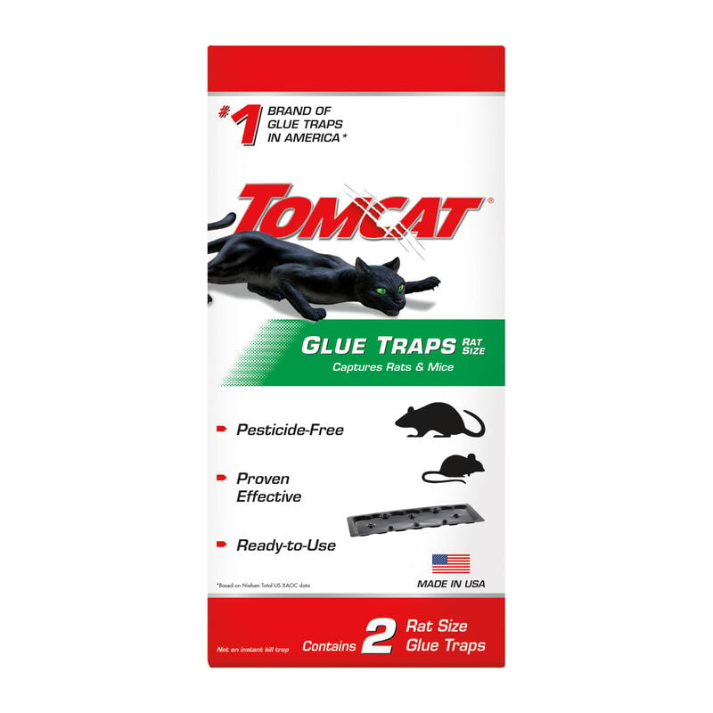 Tomcat® Glue Traps Rat Size image number null