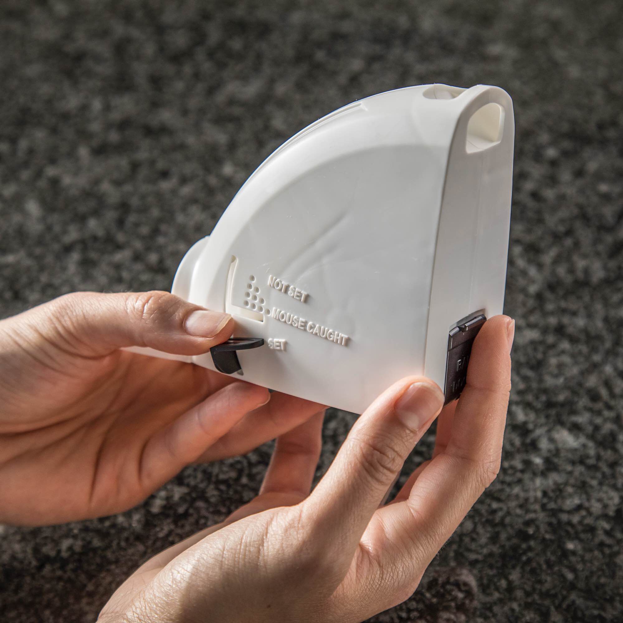 How to set a best sale tomcat mouse trap