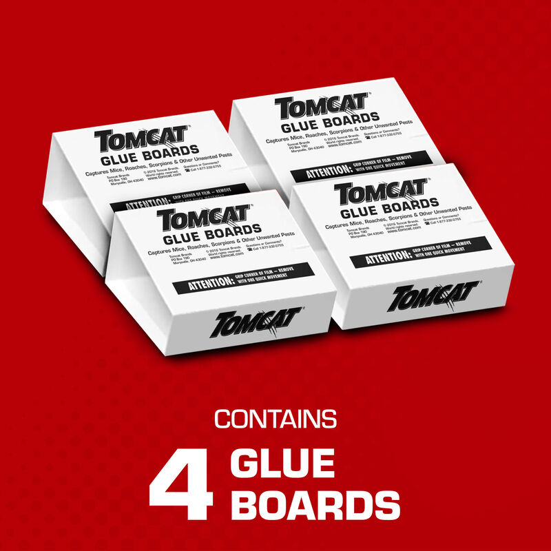 Tomcat Household Pest Glue Trap 4 Pack