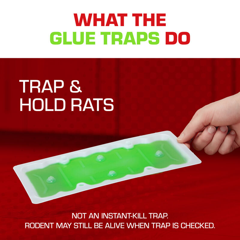 Tomcat® Super Hold Glue Traps Rat Size image number null