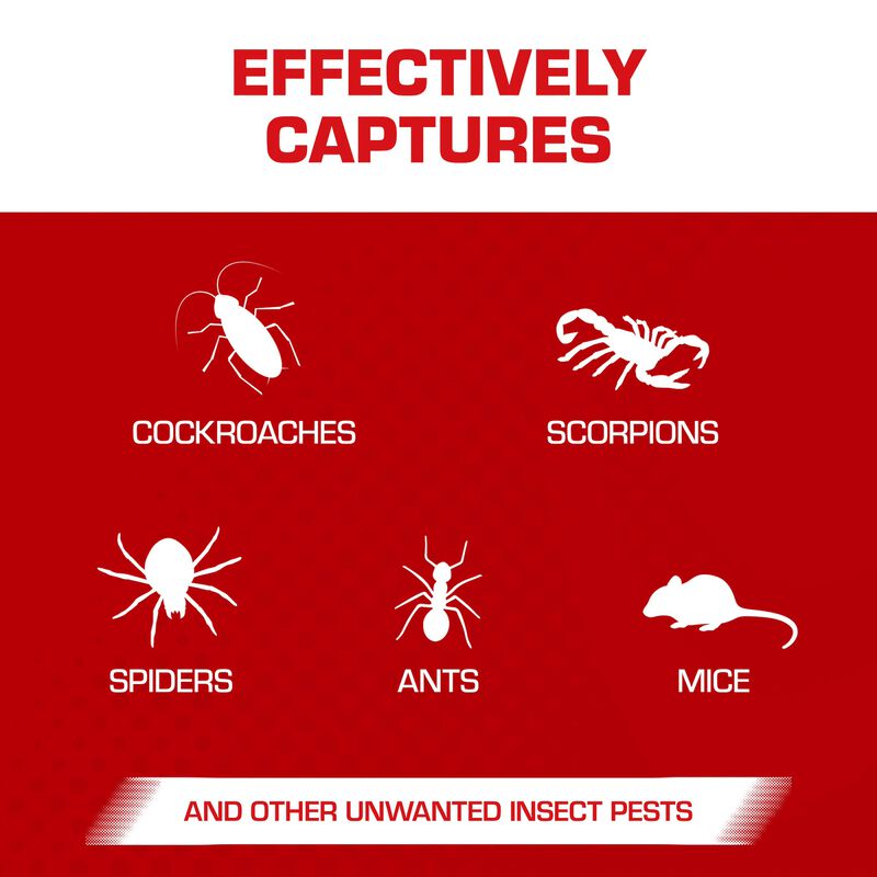 Scorpion Home Pest Control Glue Trays