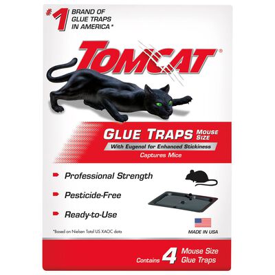TOMCAT Spin Trap Mechanical Mouse Trap (2-Pack) - Clark Devon Hardware