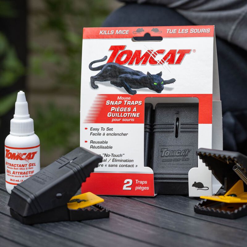 This Tomcat snap trap is a free buffet : r/MiceRatControl