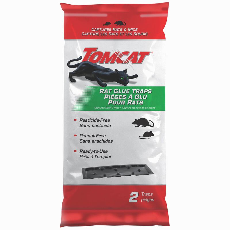 Tomcat® Rat Glue Traps image number null