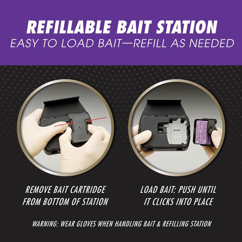 How to Use Tomcat® Mouse Killer Refillable Bait Station - Advanced Formula  