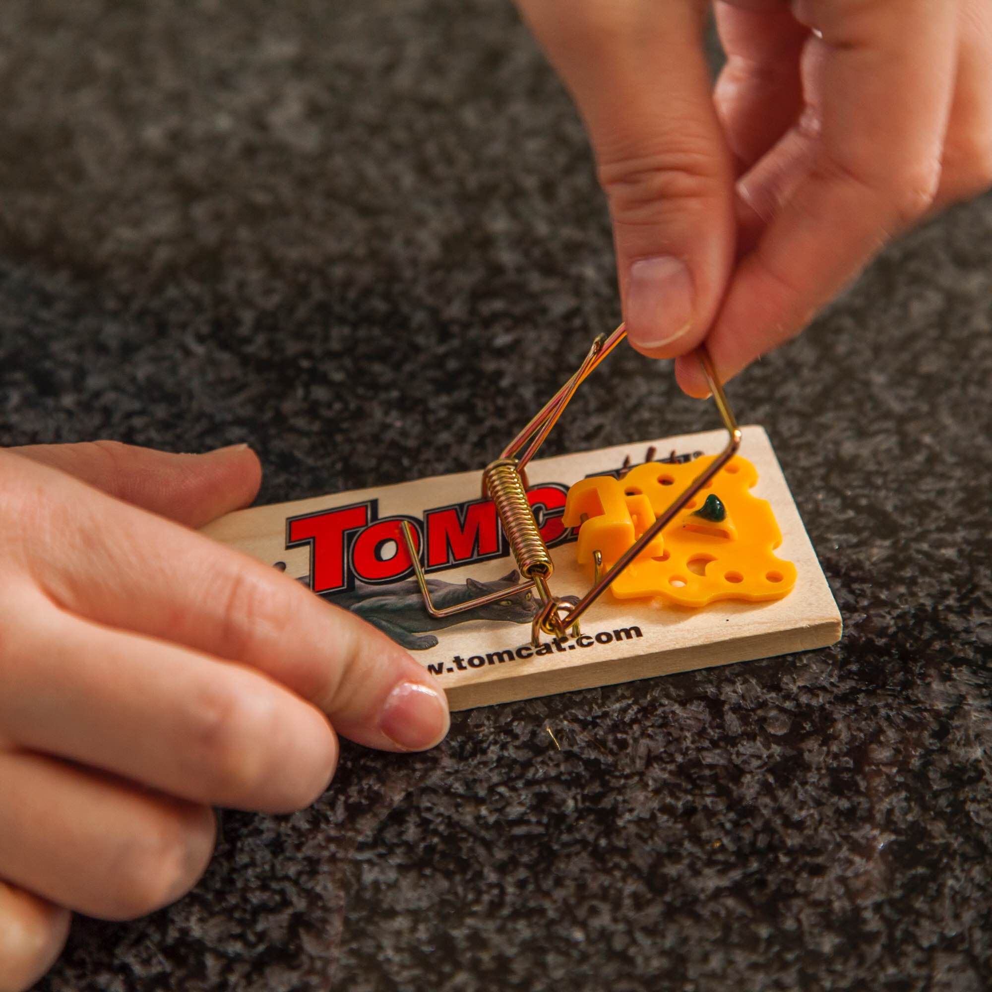 How to set a cheap tomcat mouse trap