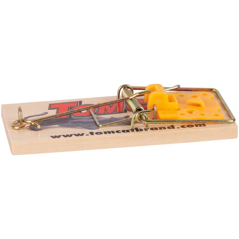 Wooden Mouse Trap