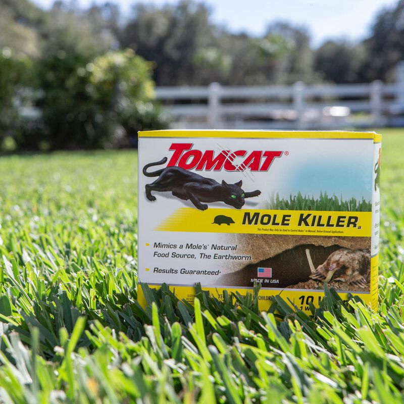How to Catch and Kill Moles In Your Yard Using the Tomcat® Mole Trap 