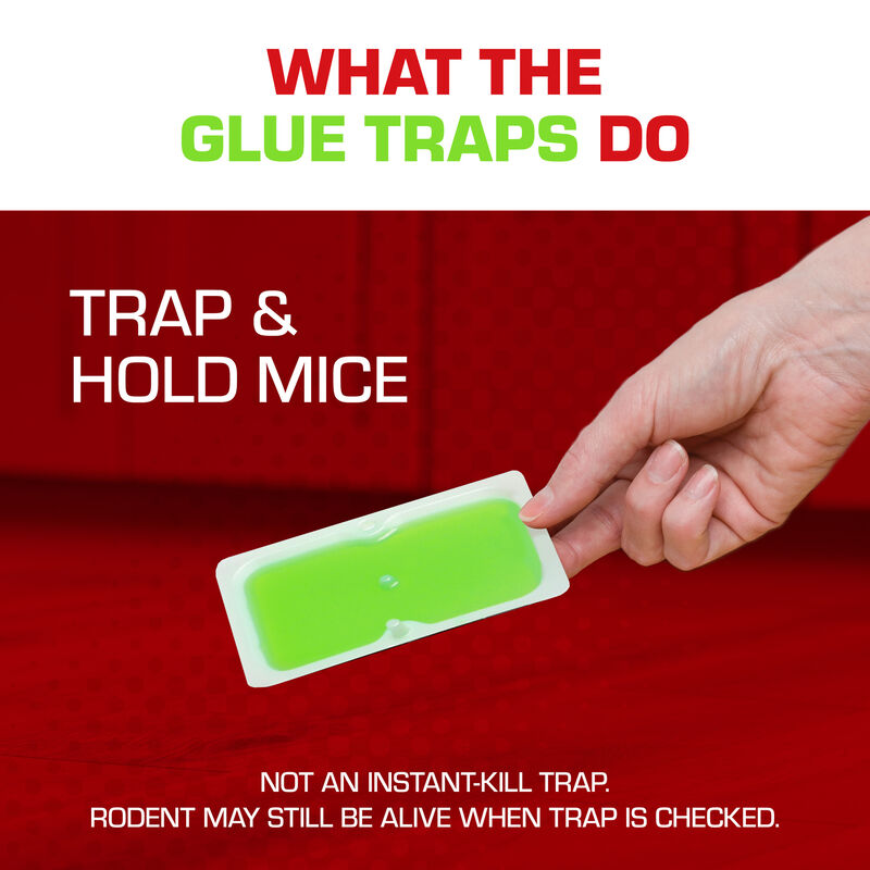 Super Jumbo Mouse Glue Traps Wholesale, Mouse Glue Traps Bulk
