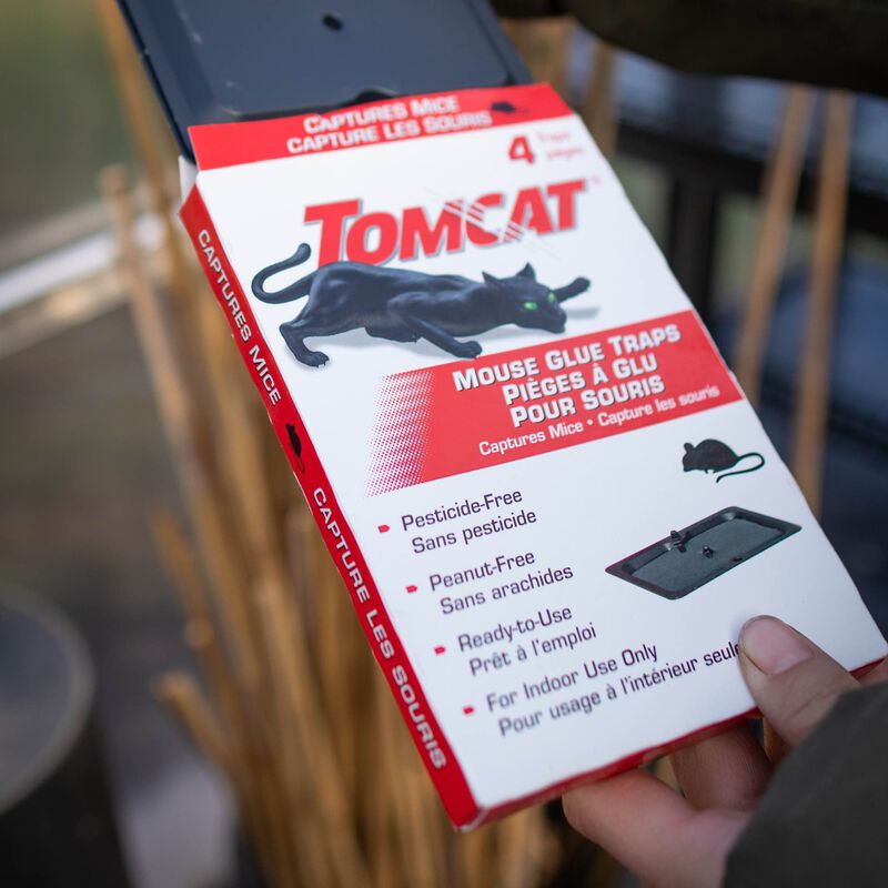 Tomcat® Mouse Glue Traps image number null