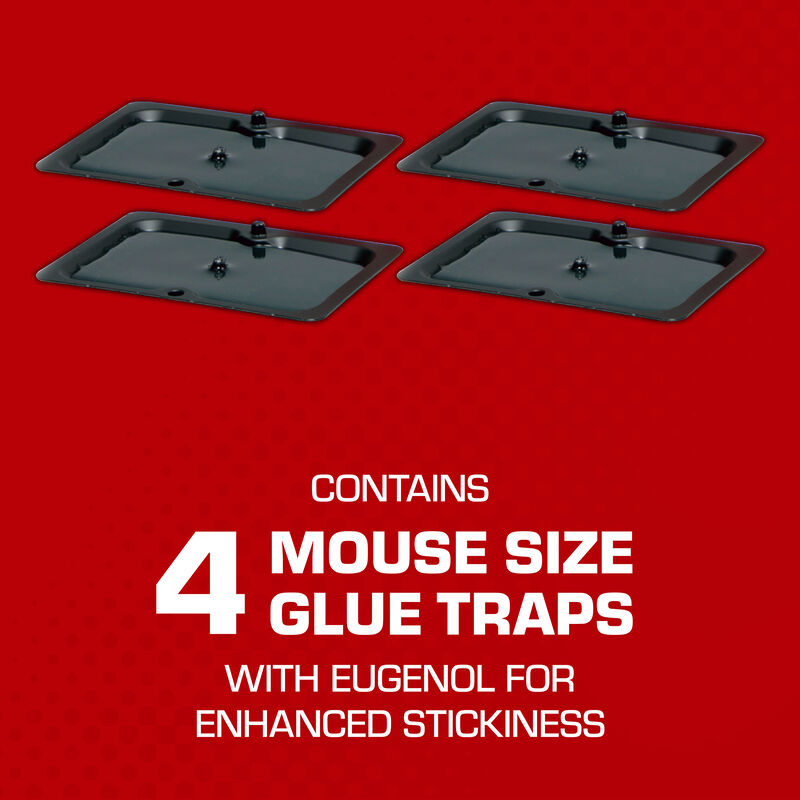 Tomcat® Glue Traps Mouse Size with Eugenol for Enhanced Stickiness image number null
