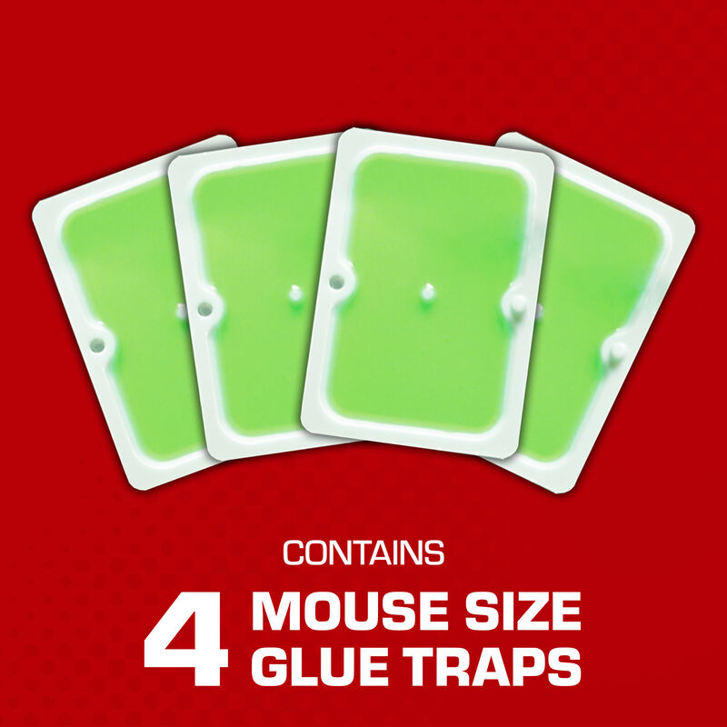 Tomcat® Super Hold Glue Traps Mouse Size image number null