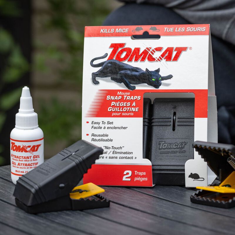 Tomcat Mouse Snap Traps 2-Pack