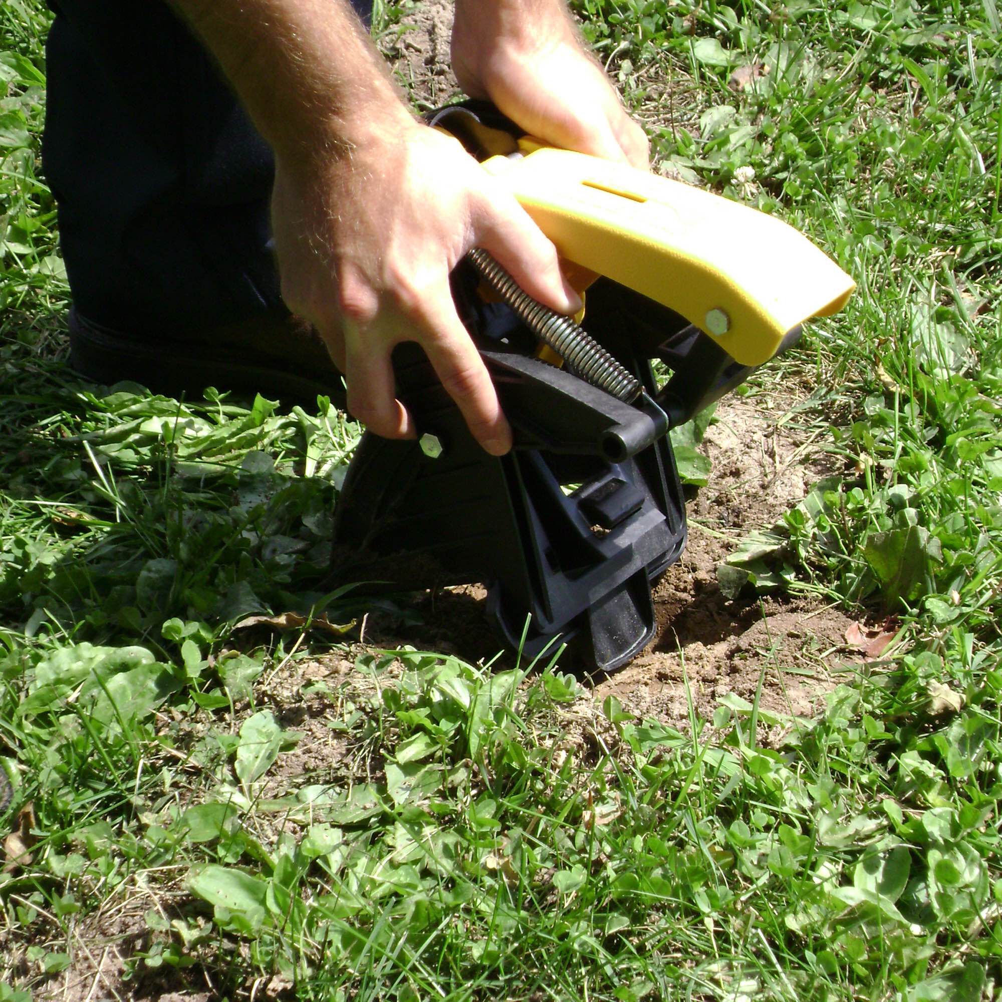 Mole sales traps lowes
