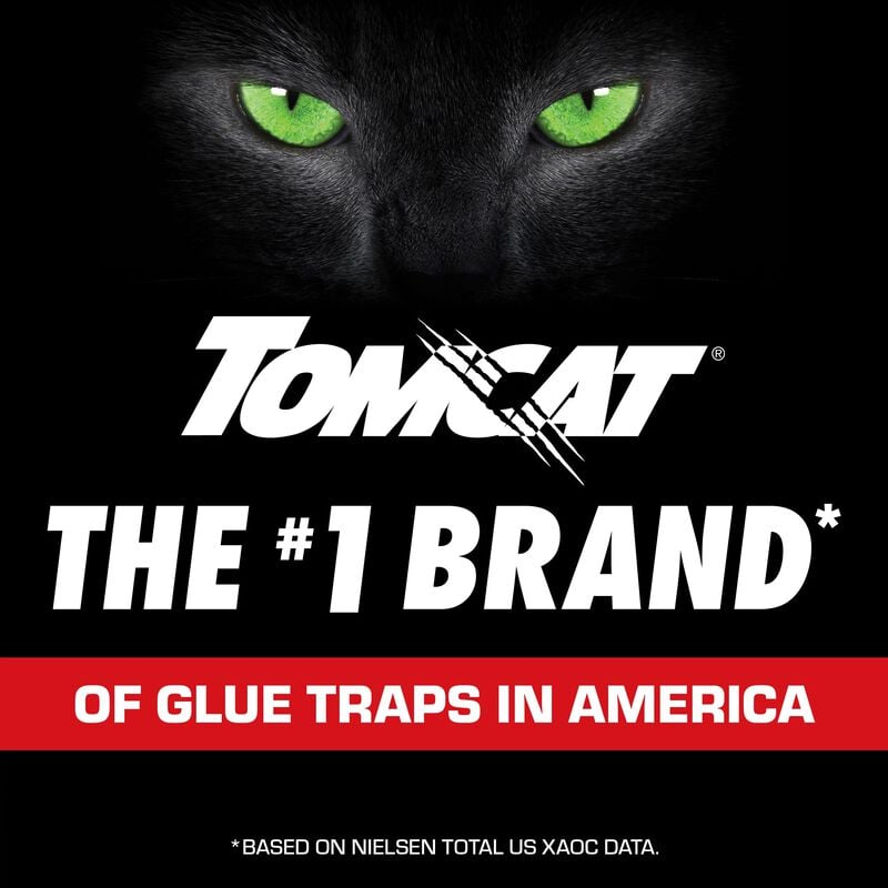 Tomcat® Glue Traps Mouse Size with Eugenol for Enhanced Stickiness image number null