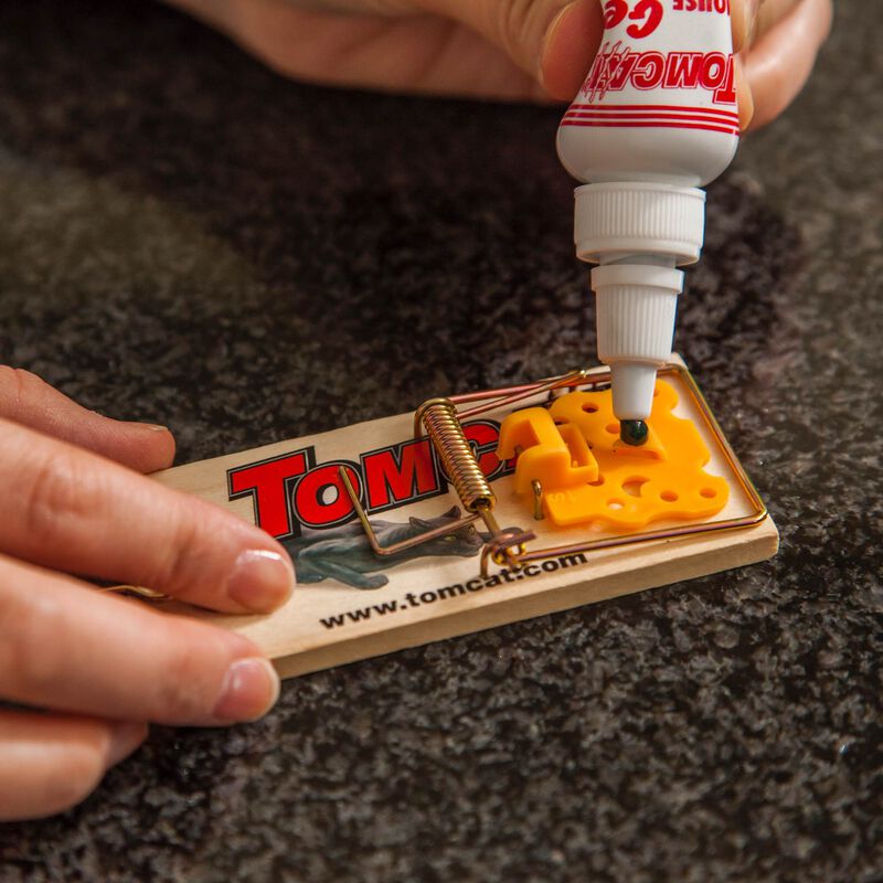 Cockroach Bait And Traps Will They Work? Terminix, 42% OFF