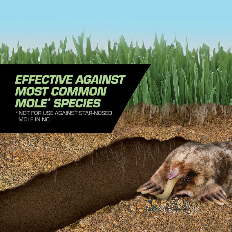 Tomcat® Mole Killer Grubs image number null