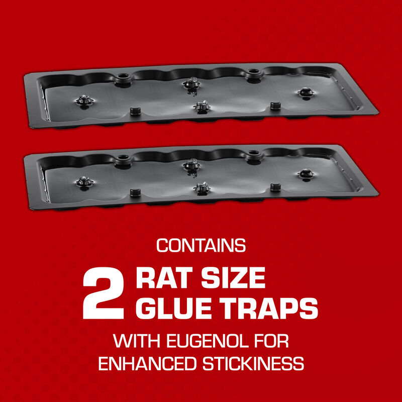 Tomcat® Glue Traps Mouse Size with Eugenol for Enhanced Stickiness