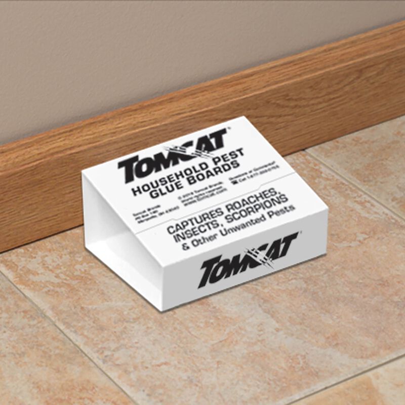 Tomcat® Household Pest Glue Boards image number null