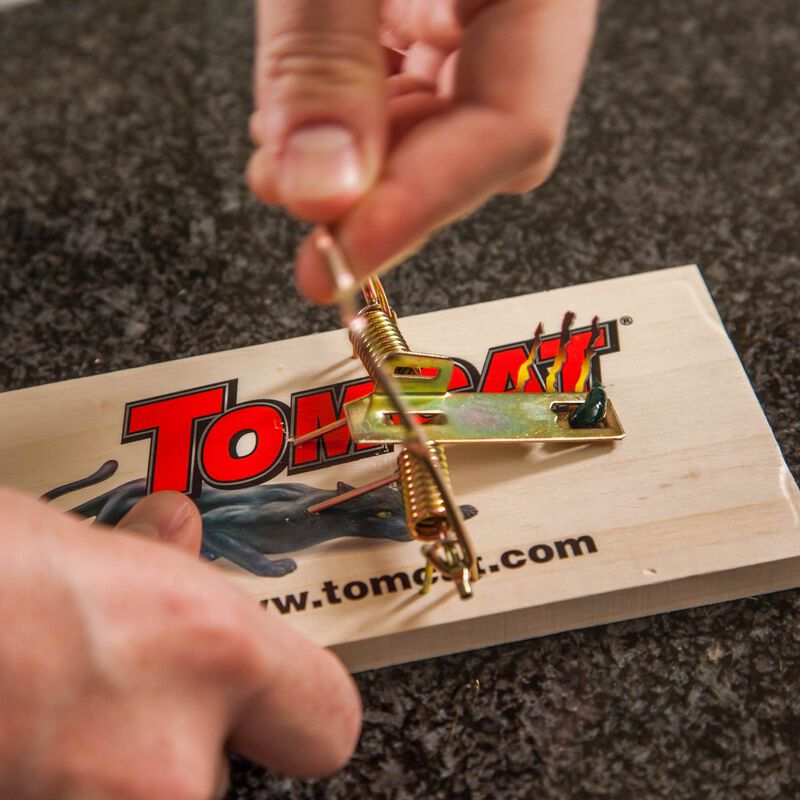 Tomcat® Rat Trap (Wooden)